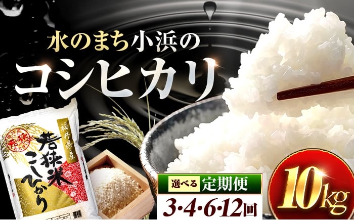 
            【選べる定期便回数】【新米】 福井県産 コシヒカリ 精米 (白米) 10kg 一等級　福井県米 /甘みと粘りが際立つ 王道米 こしひかり 小浜市 / 若狭ふれあい市場 [BFEL031]
          