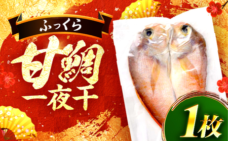 甘鯛一夜干 一尾 / 若狭 小浜 干物 魚 真空パック お取り寄せ / 小浜海産物 【配送不可地域：北海道・沖縄・離島】[BFAA147]