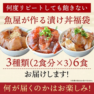 漬け丼 3種×2パック 計6食セット 冷凍 真空パック 小分け 海鮮丼 海鮮セット 詰め合わせ 海鮮 漬け丼 旬の鮮魚  ( 海鮮漬け丼 海鮮丼 宇部漬け丼 海鮮丼 漬け丼 旬の鮮魚漬け丼 マグロ漬け