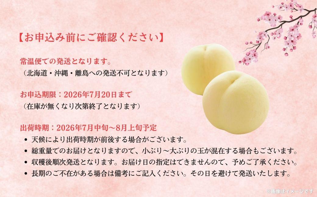 【2026年先行予約】［拝郷果樹園］岡山県産 清水白桃 約2kg（6玉〜9玉）