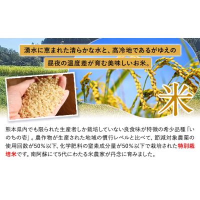 ふるさと納税 南阿蘇村 令和8年産 特別栽培米 いのちの壱 玄米 20kg (10kg×2袋) 雑穀米付き |  | 01