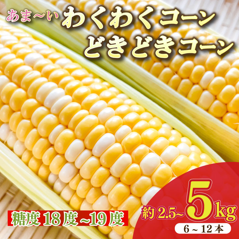 
            とうもろこし わくわくコーン どきどきコーン 6 ～ 12 本 約 2.5kg ～ 5㎏ 糖度18 ~ 19度 甘い 美味しい おいしい 野菜 バーベキュー BBQ 産地直送 新鮮 生鮮 食品 静岡県 牧之原市 もろこしショップ ぐりぱ
          
