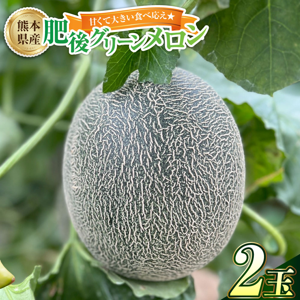 【ふるさと納税】甘くて大きい食べ応え☆肥後グリーンメロン 2玉入り（1玉2kg以上） メロン めろん 肥後グリーンメロン 青肉メロン 高糖度 フルーツ くだもの 果物 果実 デザート 熊本県産 国産 九州 熊本県 送料無料 【2026年6月上旬発送開始】