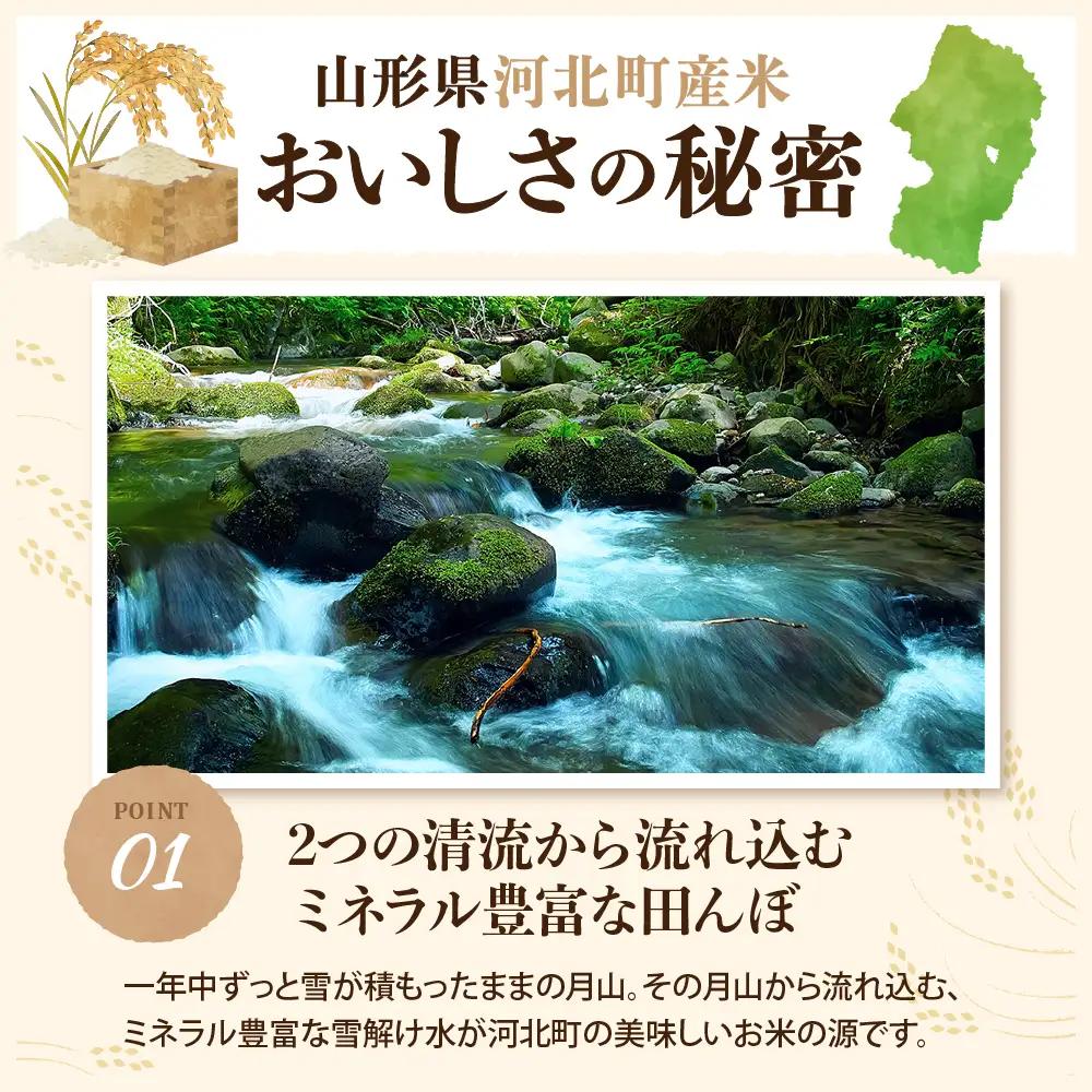 雪若丸 米 10kg 令和8年産 12月中旬発送 山形県産 米 雪若丸