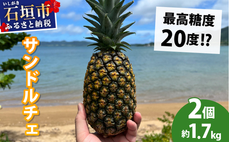 【先行予約2026年6月下旬頃から順次発送】最高糖度20度!?クリーミーな味わいが魅力の石垣島産完熟サンドルチェ 2個セット 