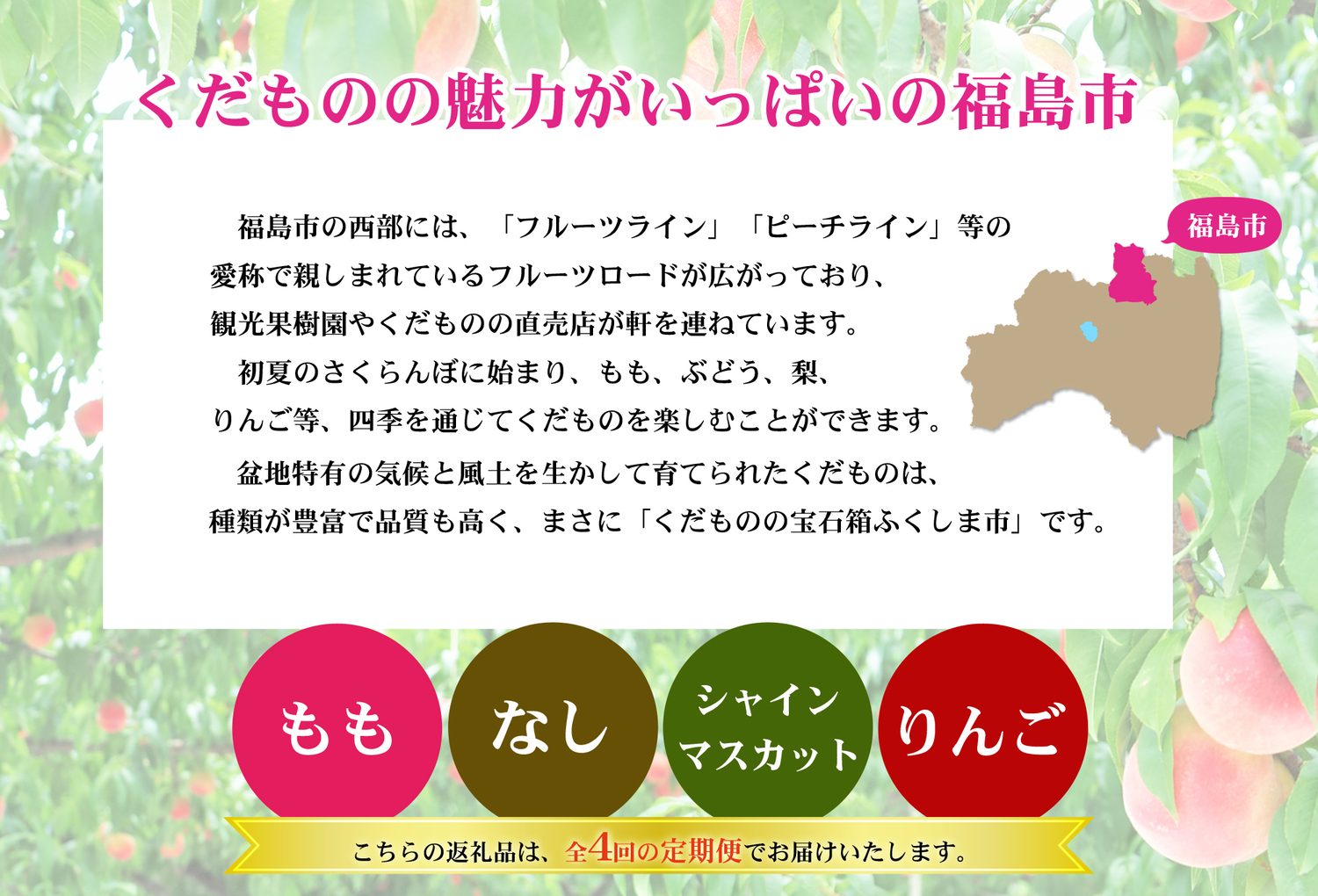 No.2769福島のフルーツ定期便４種【2025年発送】