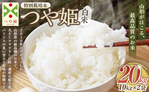 【令和7年産新米】〈白米〉 つや姫 計20kg 10kg×2袋 ＜1回のお届け＞ （特別栽培米） お米 米 コメ こめ 白米 ごはん ご飯 精米 令和7年産 国産 【2025年11月上旬発送開始予定】