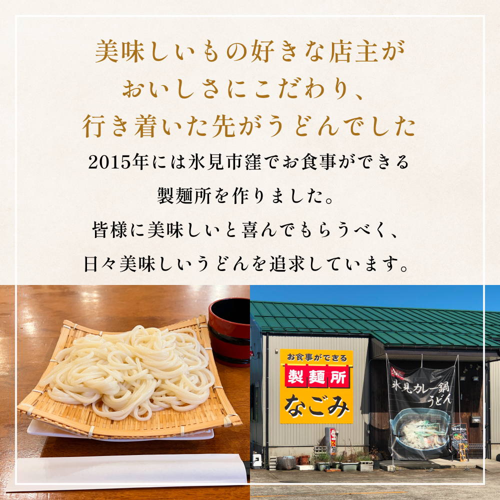 半生 氷見のうどん （細麺）２００ｇ×５袋　１０人前 富山県 氷見市 うどん 饂飩 半生麺 麺