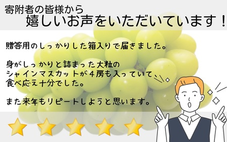 【産地直送】山梨県産：シャインマスカット　1.3～1.5箱(2～3房)　ないとうぶどうファーム [5839-1926]