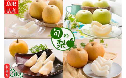 <数量限定> 今シーズン発送!【訳あり】鳥取県産旬の梨 3kg