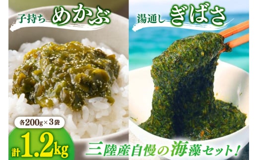 海藻 とんとん めかぶ 湯通し ぎばさ 各3本 セット [南三陸さんさんマルシェ 宮城県 南三陸町 m304amh600079] 冷凍 国産 メカブ あかもく アカモク