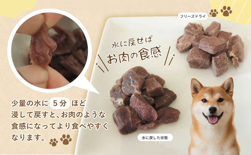 ALOHAS 馬肉フリーズドライ 犬猫用おやつ 25g×5袋【犬猫用 国産 無添加 無着色 高タンパク 低脂肪 ドッグフード キャットフード】 010B1730
