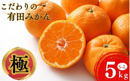 こだわりの和歌山県産 有田みかん 5kg（S～Lサイズおまかせ） ひとつひとつ手選別で厳選！生産者から直送 【2026年11月下旬～2027年1月中旬ごろに順次発送予定】 | みかん フルーツ 果物 くだもの 有田みかん 蜜柑 柑橘【hdm005】