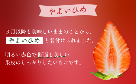 いちご やよいひめ 260g×4P やよいひめ 埼玉県 久喜市