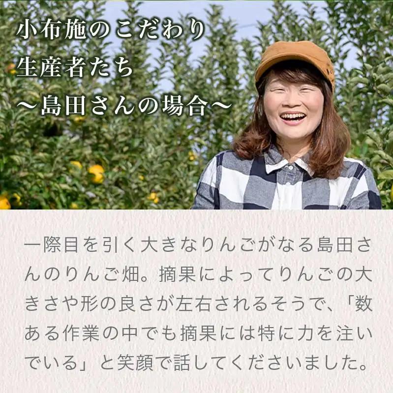 【訳あり】 シナノゴールド 約3kg 6～12玉 ［おぶせファーマーズ］ 不揃い 規格外 家庭用  果物 フルーツ りんご 林檎 リンゴ 長野県産 信州産 令和8年産 【2026年10月中旬～2027