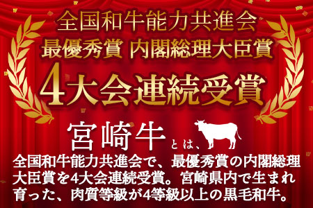 ＜宮崎牛『シン極(きわみ)』ロース肉約4kg、ヒレ肉約2.5kg (冷凍・3回配送)＞ 国産ブランド牛 牛肉 おすすめ 黒毛和牛 国産牛肉 和牛 人気 コスパ 定期便 量が多い 焼肉用 ステーキ 切り