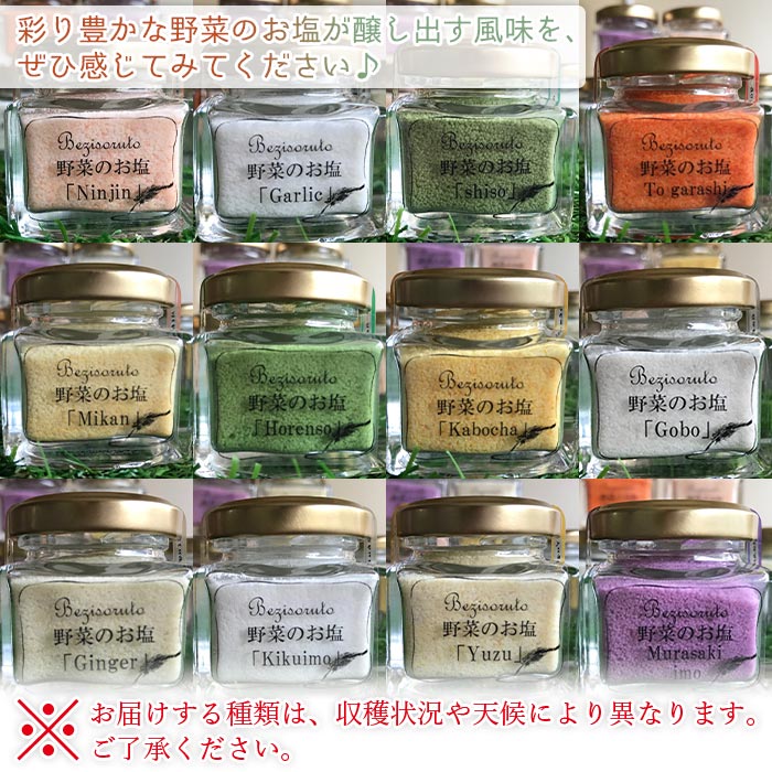 ＜ベジソルト 9種類＞ 野菜 柑橘 かぼちゃ ごぼう しょうが にんにく ほうれん草 みかん 菊芋 紫芋 人参 大葉しそ 柚子 えひめ活き生きファーマーズ株式会社 愛媛県 西予市