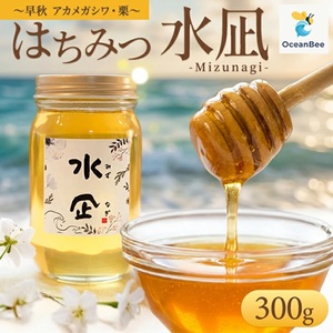 SA2854　国産 はちみつ 百花蜜 「水凪(みずなぎ)」 1個 (300g×1個)