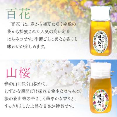 ふるさと納税 八百津町 はちみつ 百花 山桜 プラボトル 300g 各1本 計2本 |  | 01