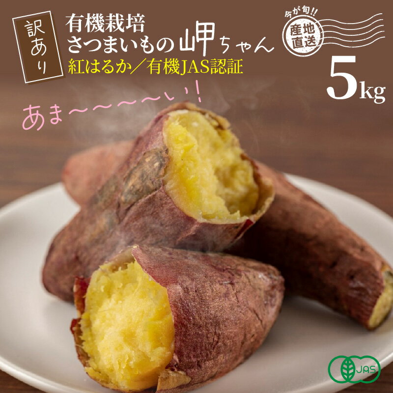 【ふるさと納税】訳あり 有機栽培 さつまいもの岬ちゃん 5kg 紅はるか 有機JAS認証