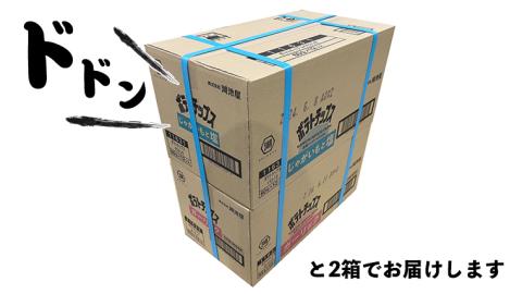 【 湖池屋 3ヶ月 定期便 】湖池屋 ポテトチップス 2種類アソート （じゃがいもと塩・ガーリック）（各12袋・計24袋 ×３回） ポテチ お菓子 おかし 大量 スナック おつまみ ジャガイモ