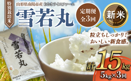 【令和8年産 新米 先行予約】 【金賞受賞農家】 《定期便3回》 特別栽培米 雪若丸 5kg×3か月 《令和8年9月下旬～発送》 『あおきライスファーム』 [1610-R8A]

