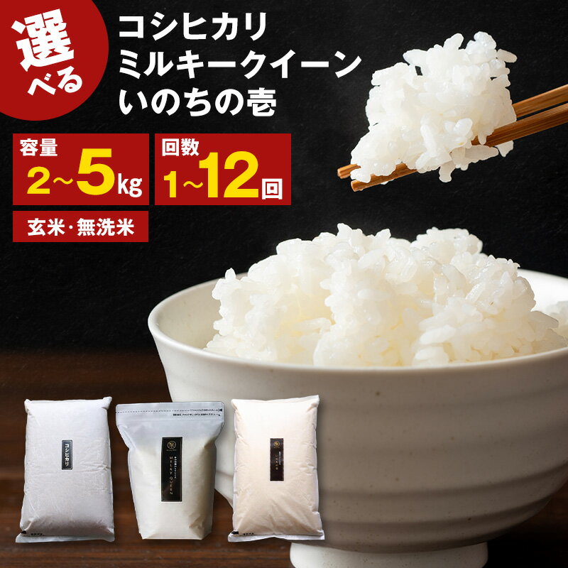 【ふるさと納税】令和8年産　先行予約　ミルキークイーン　コシヒカリ　いのちの壱　選べる容量　回数　お届け：2026年11月下旬より順次発送