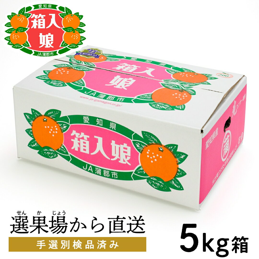 【ふるさと納税】G0002【期間限定】蒲郡みかん「箱入娘」約5kg ミカン