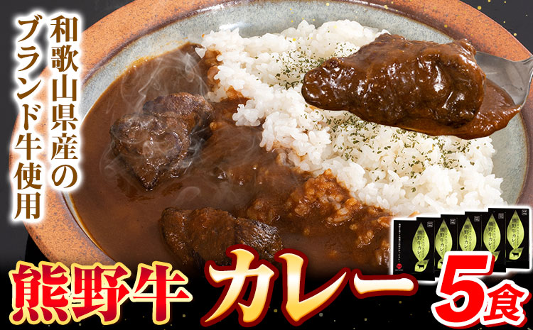 牛肉 熊野牛 カレー 5食セット 株式会社Meat Factory《30日以内に出荷予定(土日祝除く)》和歌山県 日高川町 熊野牛 牛 和牛 焼肉 希少部位 ミスジ 焼肉---wshg_mfy38_3