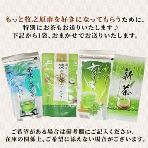 【2026年9月中旬発送】 お米 つきあかり 米 5kg お茶 セット つきあかり 