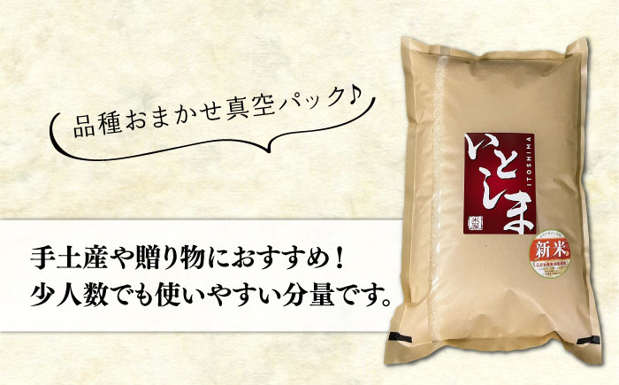 【長期保存可能】 五ツ星お米マイスターが厳選 品種おまかせ 白米 5kg 糸島市 / 納富米穀店 [ARL005] 米 お米 ご飯 白米 九州 5キロ 真空パック 長期保存 五つ星お米マイスター