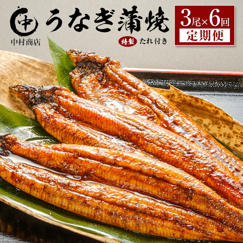 【ふるさと納税】＜定期便＞3尾×全6回 国産 うなぎ 蒲焼 有頭 計3.2kg以上（1回あたり 計543g以上） たれ付き 宮崎県産 鰻 中村商店