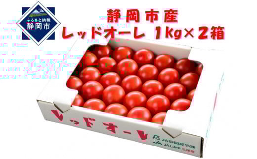 
            【2025年12月より順次発送】完熟中玉トマト レッドオーレ2箱【配送不可：北海道・沖縄・離島】◆
          