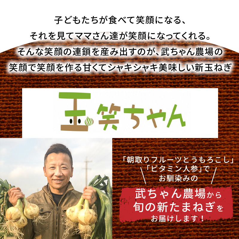 【2026年発送】【食品ロス削減】（訳あり）笑顔で笑顔を作る武ちゃん農場の新玉ねぎ“玉笑ちゃん” 9個　H095-030