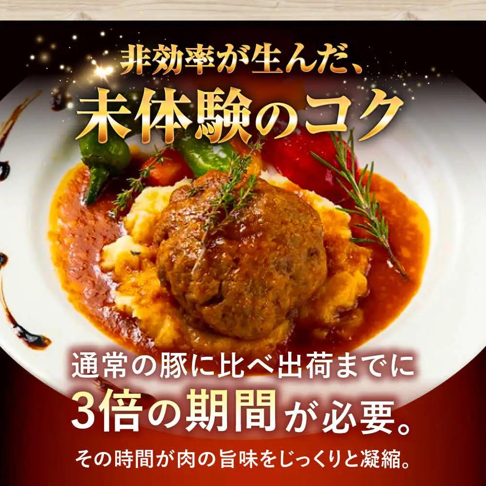 ソーセージ ハンバーグ 『命豚ソーセージ4種＆命豚ハンバーグ2種セット』  BCAR002 豚肉