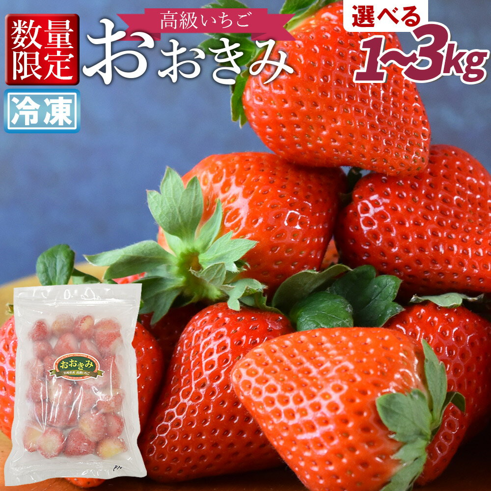 【ふるさと納税】数量限定＜高級いちご「おおきみ」冷凍いちご＞※入金確認後、2025年1月下旬から順次出荷 選べる 1kg 2kg 3kg フルーツ イチゴ 苺 青果 果物 減農薬 不揃い 急速冷凍 フローズン ジャム スムージー サンクール・スマイルファーム 宮崎県 国富町 【冷凍】