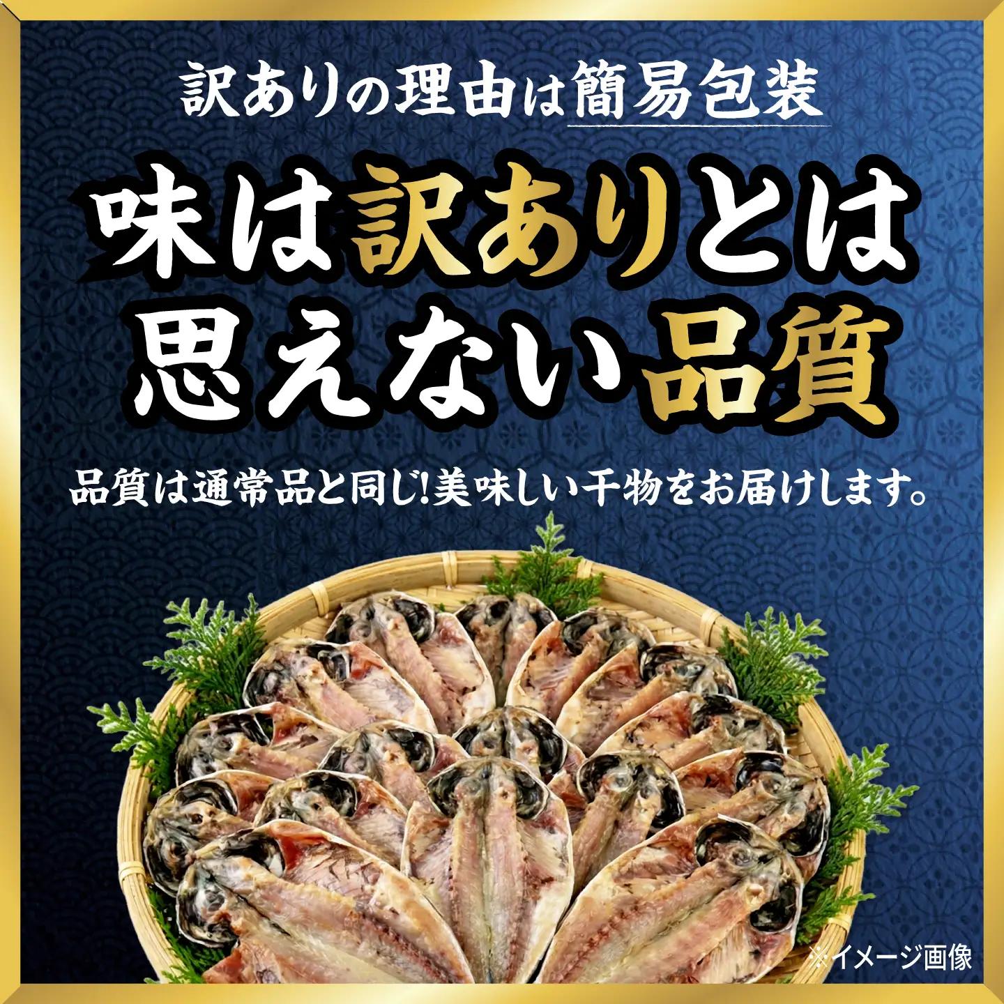 【訳あり】干物 真アジの干物 約2.8kg（40枚前後） [AKCX001]