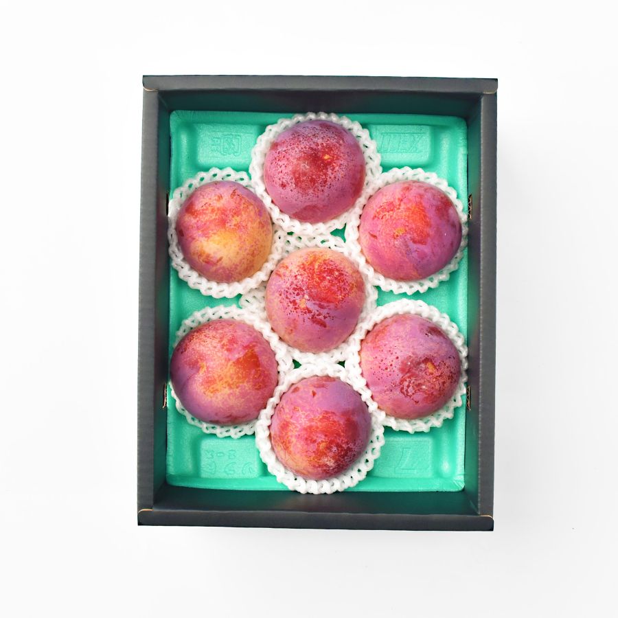 高級スモモ「貴陽」3L～4L　1.6kg