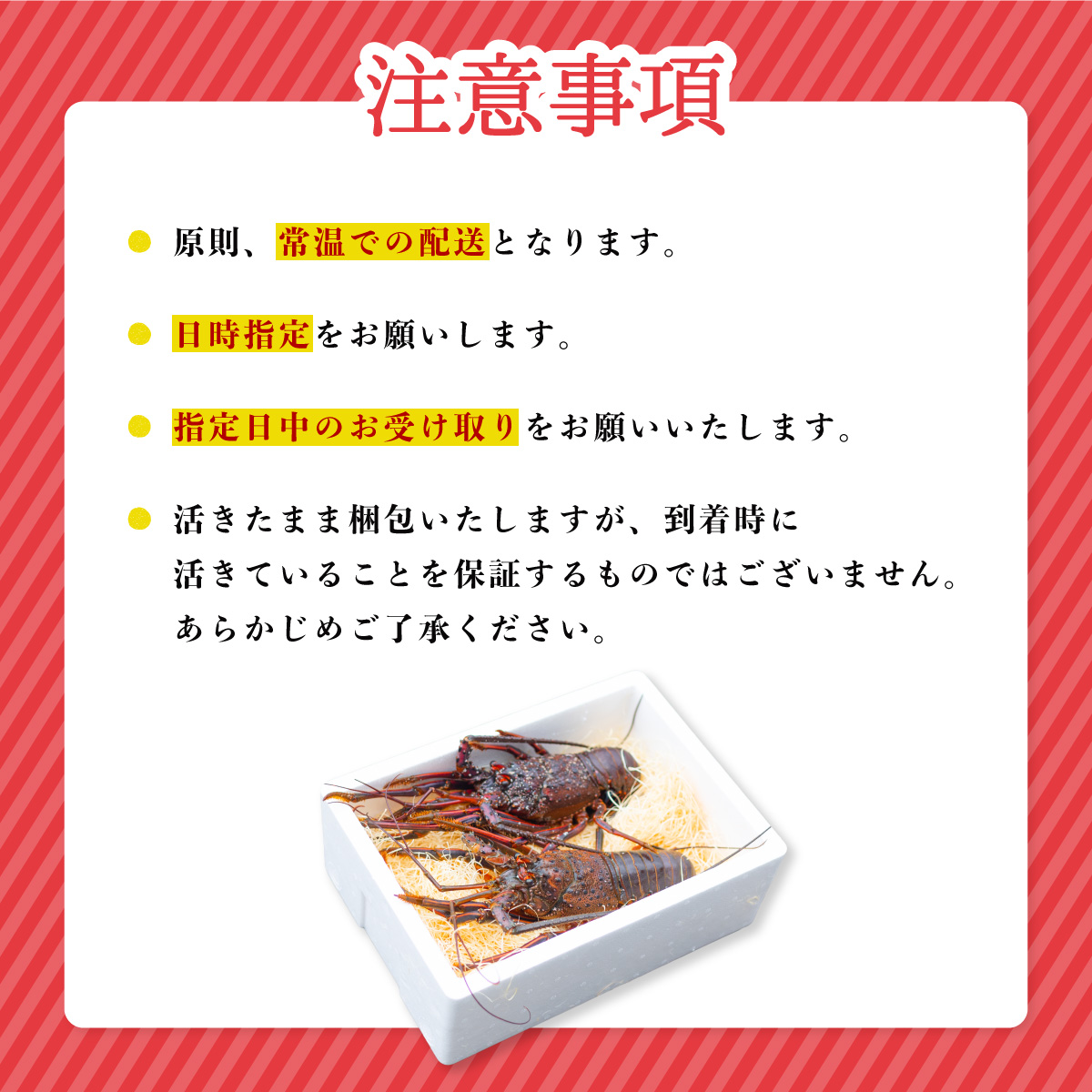 【季節限定】箱詰め伊勢海老サイズおまかせ大セット（約５．０kg）