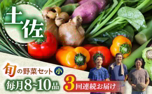 【3回定期便】 土佐の太陽をいっぱいに浴びた旬の野菜セット小 　野菜  定期便  やさい 高知市 詰め合わせ 旬 【土佐野菜】 [ATBA005]