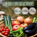 【ふるさと納税】楽天限定 季節の野菜定期便 12ヶ月 野菜セット 大容量 大満足 レシピ付き 旬 野菜 フルーツ 果物 定期便 お楽しみ 詰め合わせ 春 夏 秋 冬 おまかせ ギフト セット 新鮮 やさい 産地直送 直売所 美味しい 伊豆 南伊豆町 送料無料 湯の花