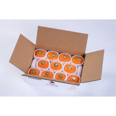 
            ＜R7年10月中下旬～11月の発送＞種なし柿　2L～L　9個～11個【1233076】
          