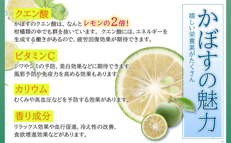 カットしてわかる魔法の香り「有機栽培かぼす」 10㎏箱入り K3-S