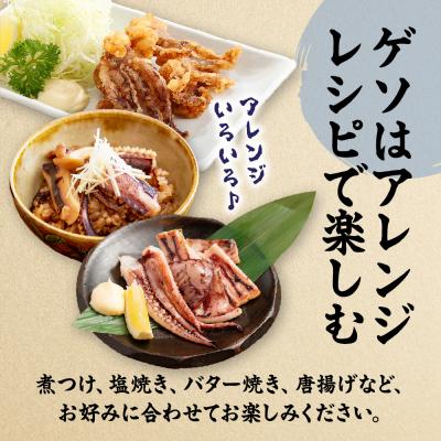 ふるさと納税 宗像市 刺身用 新鮮ヤリイカ2尾セット(宗像鐘崎産)【マルケイ水産】_HA0416 |  | 03