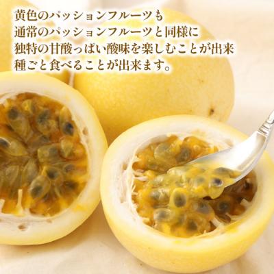 ふるさと納税 天城町 【2026年発送】徳之島 天城町 吉川果樹園 家庭用 イエロー パッション フルーツ 約2kg |  | 02