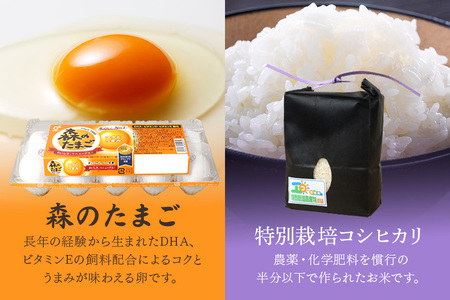 小美玉手箱10 充実の朝ごはんセット スタンダード（鶏卵・コシヒカリ・納豆のセット） 詰め合わせ 食べくらべ 食べ比べ お米 コシヒカリ こしひかり 特別栽培米 ごはん 森のたまご 卵 納豆 おかめ納