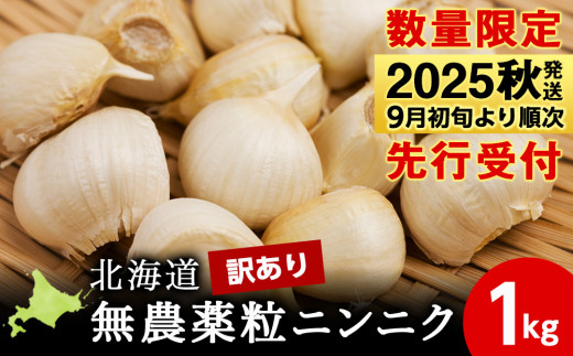 【数量限定】訳あり無農薬粒ニンニク1kg（500g×2袋）バラ 粒 無農薬 にんにくガーリック