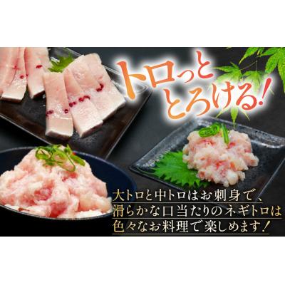 ふるさと納税 気仙沼市 メカジキ  大トロ 中トロ ネギトロ 三種 セット [熊栄産業 20565107] ◎ |  | 01