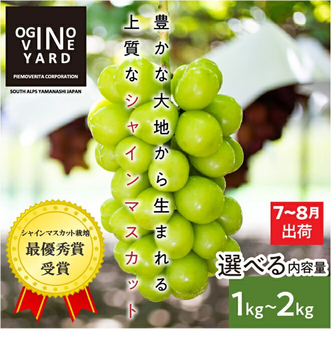 【ふるさと納税】 山梨県産早期出荷シャインマスカット 選べる数量 ふるさと納税 シャインマスカット ぶどう 葡萄 果物 フルーツ 早期出荷 ハウス栽培 2房 おすすめ 山梨県 南アルプス市 送料無料 ALPAK009