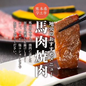 桜屋　馬肉 焼肉用スライス 500g_U01-1335